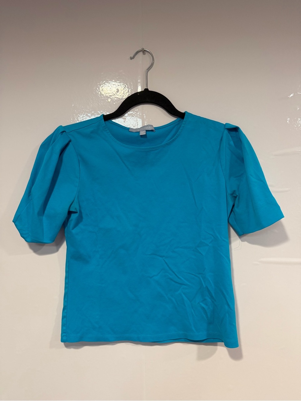 Blue Puff Sleeve Antonio Melani Women’s Top